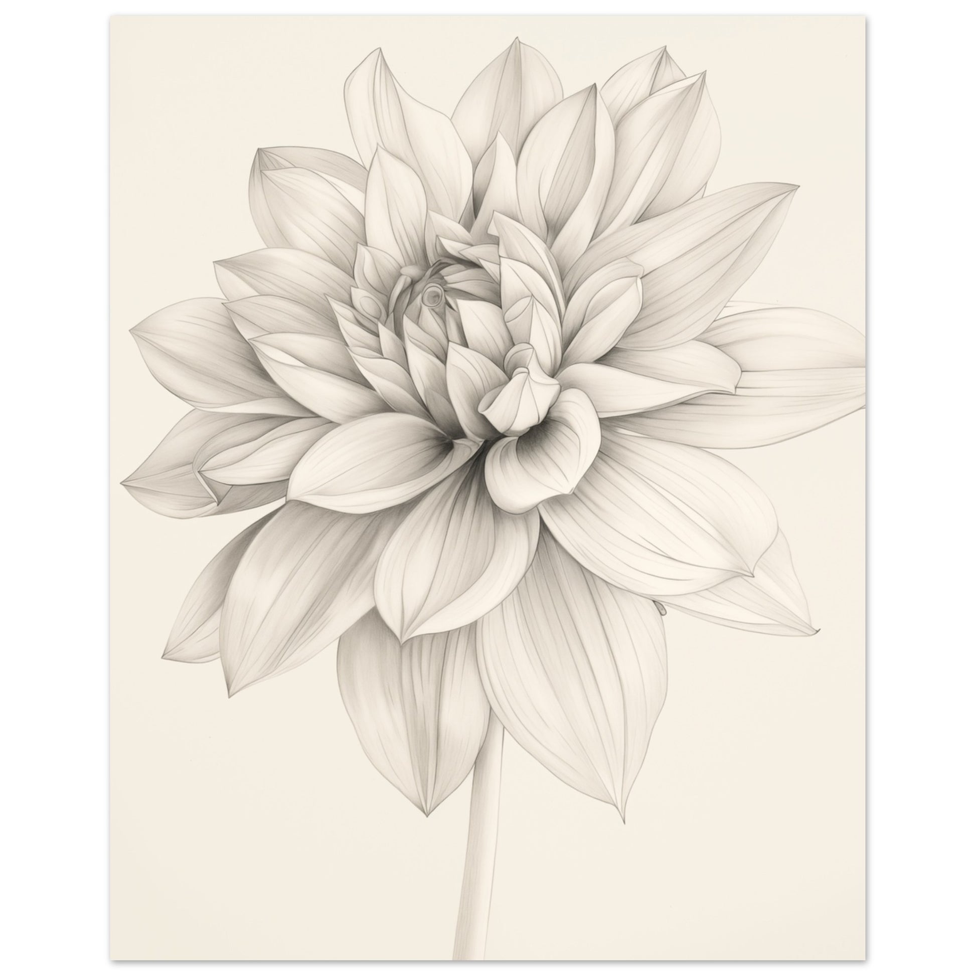„Dahlienzauber“ als Wandbild mit filigrane Dahlie als graue Line Art Zeichnung auf Creme, Format 20 × 25 cm