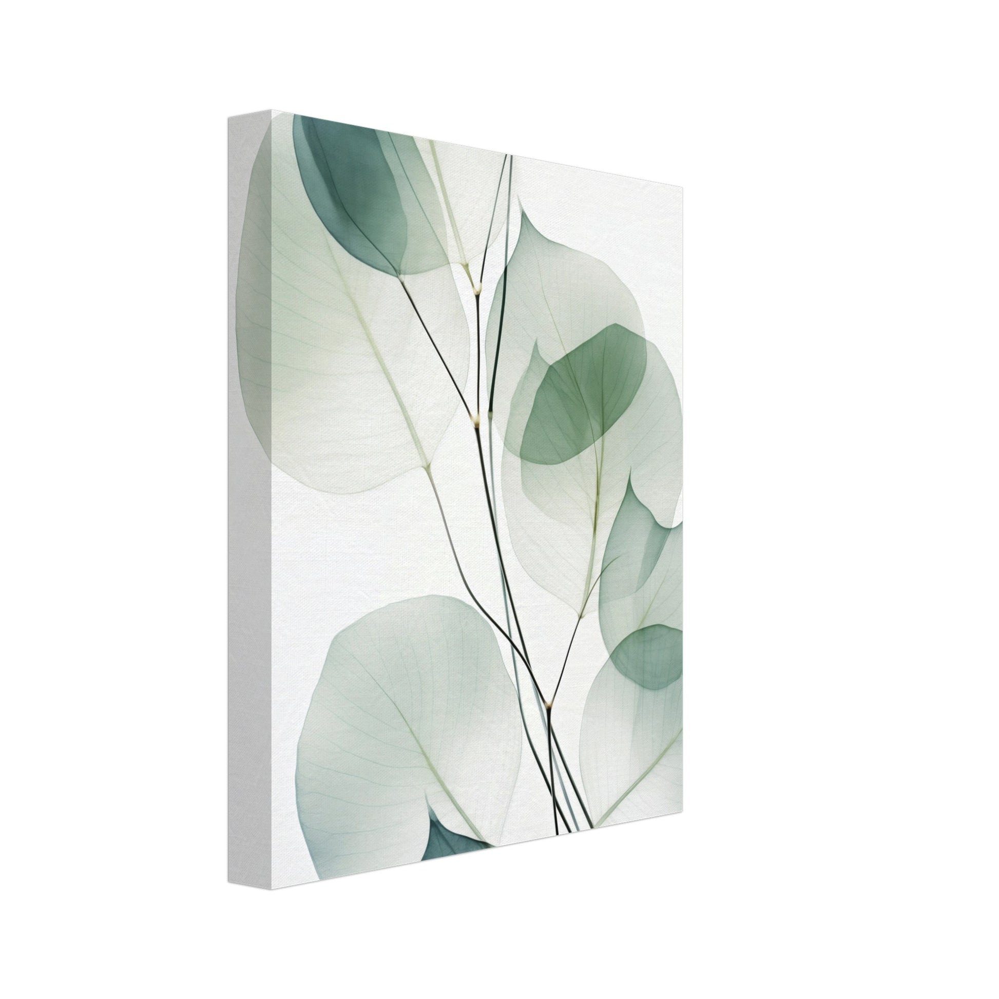 Leinwand „Eukalyptus Transluzenz“ mit transparente Eukalyptusblätter in Salbeigrün und Mint, 20x25 cm