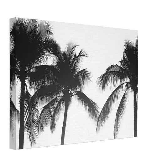 Leinwand „Schwarz-weiß Palmen Silhouetten“ mit schwarzen Palmensilhouetten auf hellem Hintergrund, 30x40 cm